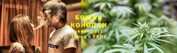 прущие грибы Алапаевск
