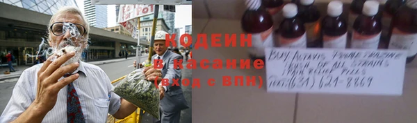 трава Медвежьегорск