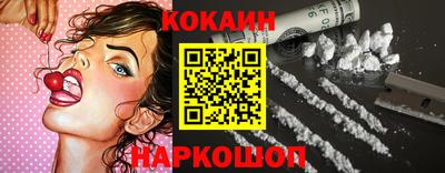 гашик Гатчина