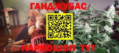 гашик Гатчина