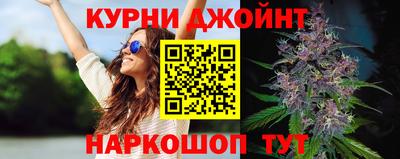 гашик Гатчина