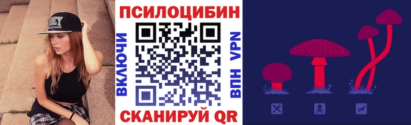 где можно купить наркотик  Минусинск  Псилоцибиновые грибы прущие грибы 