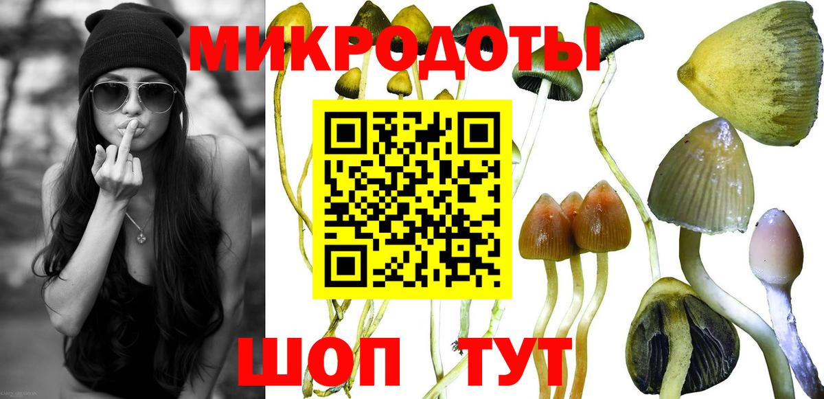 Галлюциногенные грибы GOLDEN TEACHER  Вход с VPN  Псилоцибиновые грибы MAGIC MUSHROOMS  Минусинск 
