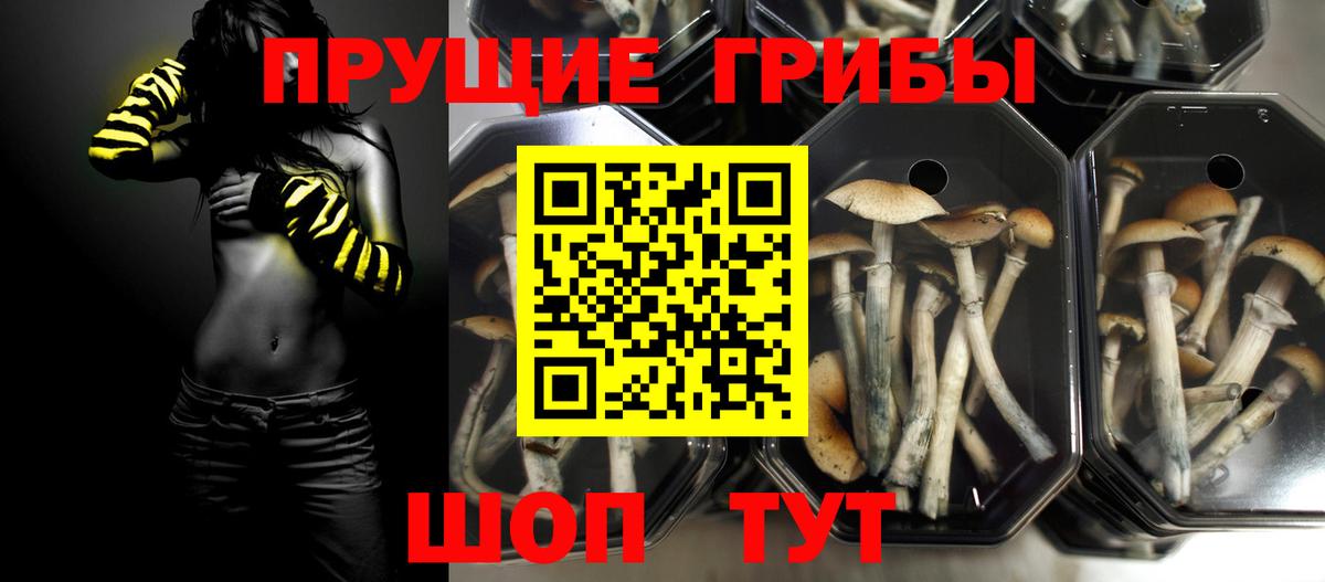 Галлюциногенные грибы Magic Shrooms Минусинск